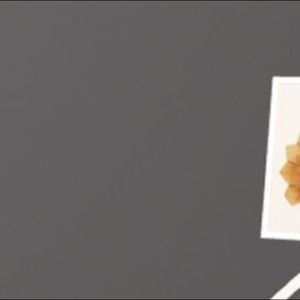 Meet your Posher, Faith